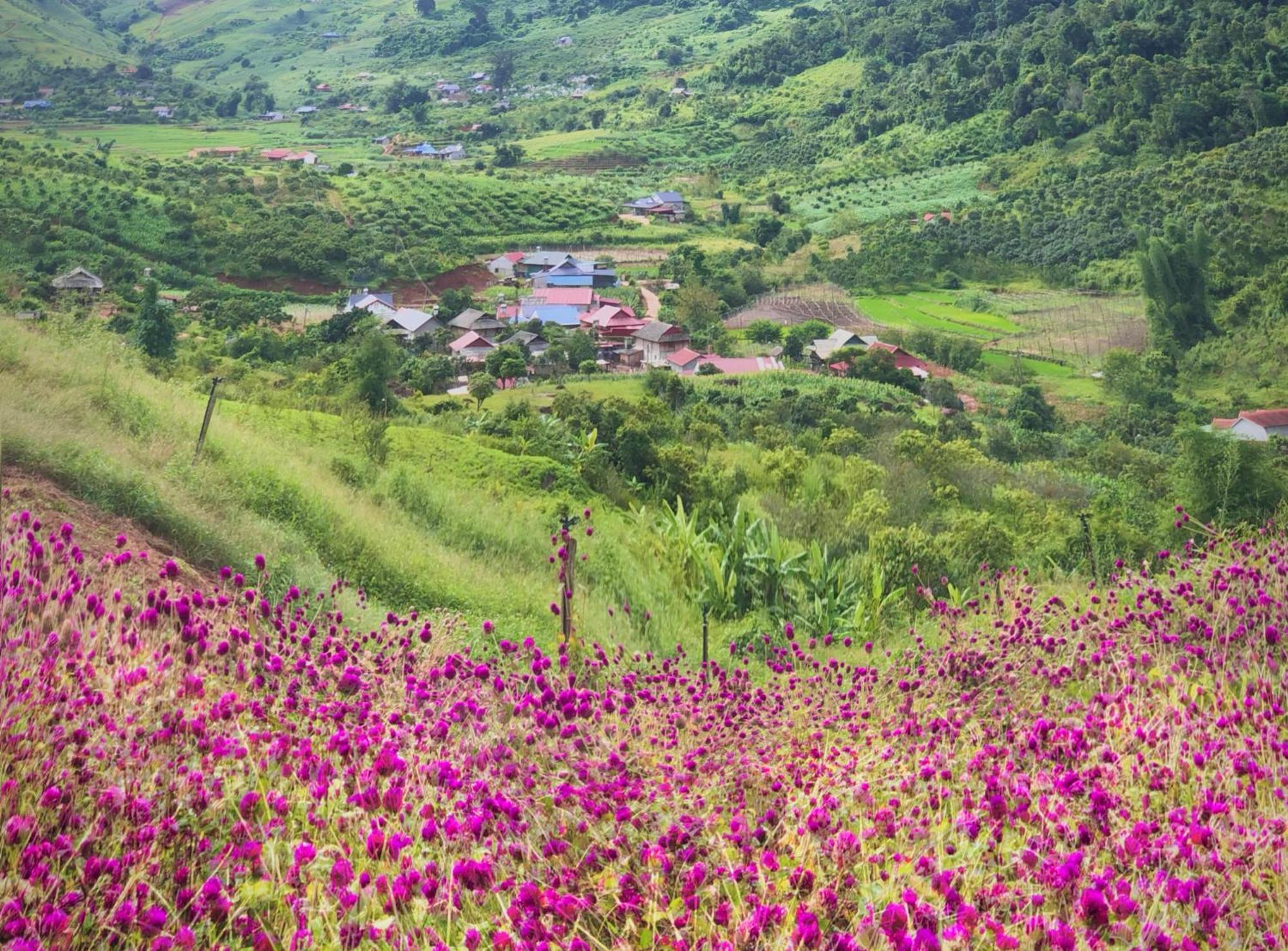 Muong Sang Farmstay Мок Чау Екстериор снимка
